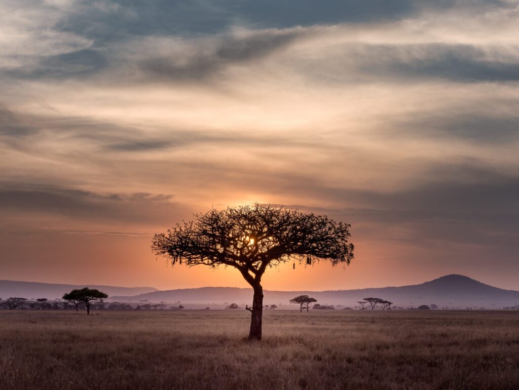 Research Impact in Africa