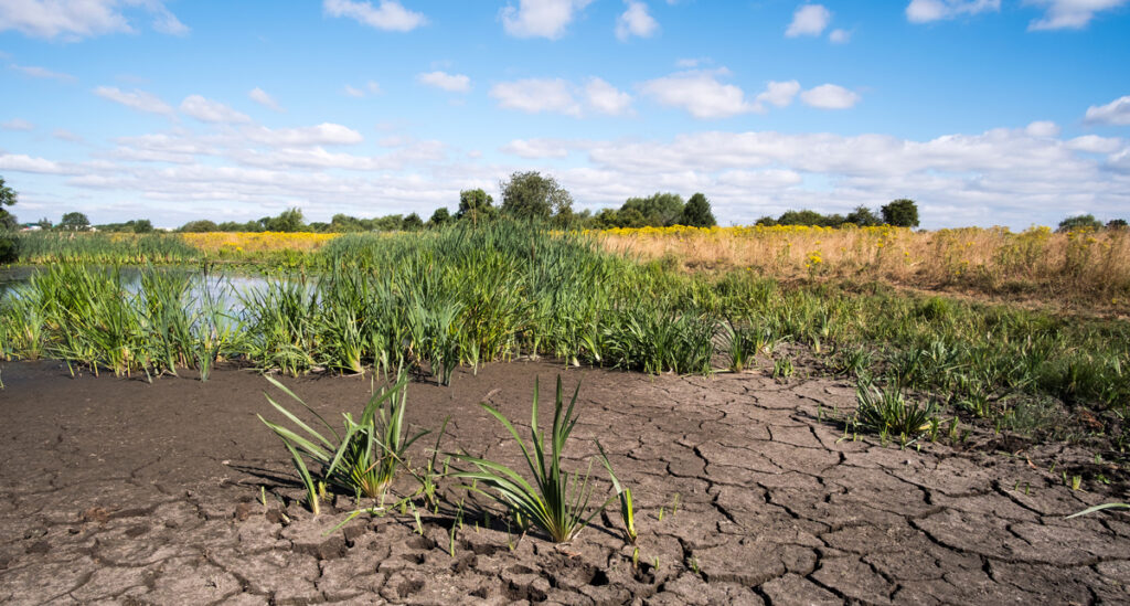 Sustainable Agriculture